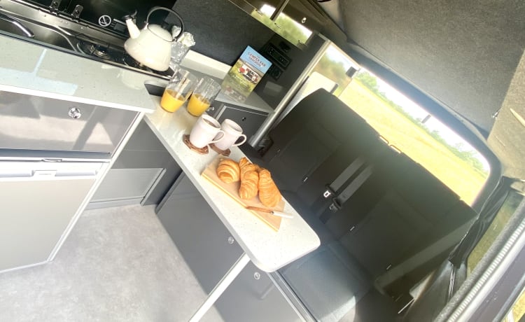 Yorkie Pud – YorKamper -  2021 VW Transporter 4 berth