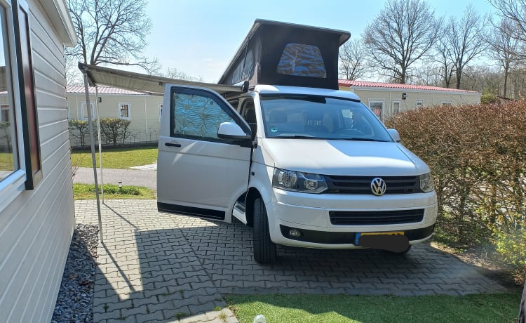 "Vrouwtje"  – "Femme" - Bus Volkswagen T5 3p (2014) (pas de porte-vélos)