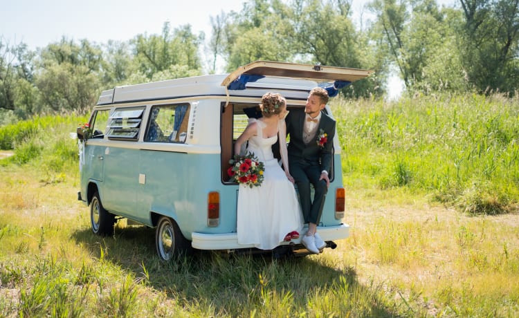 Brum – Volkswagen T2 baby blue with 6 cylinder