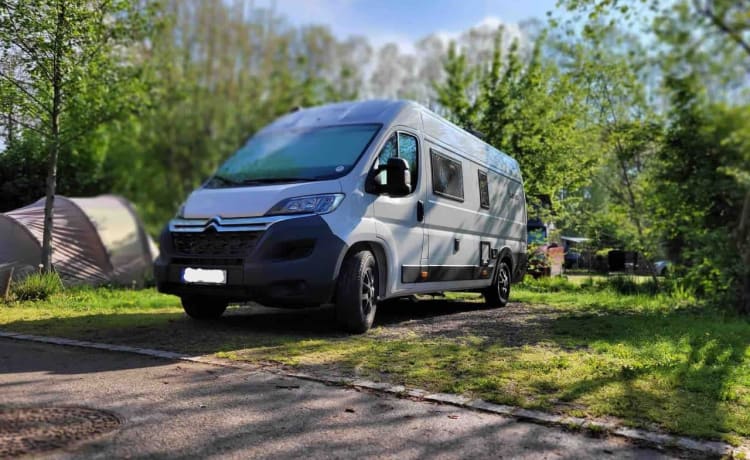 2p Clever bus, splinternieuw uit 2023