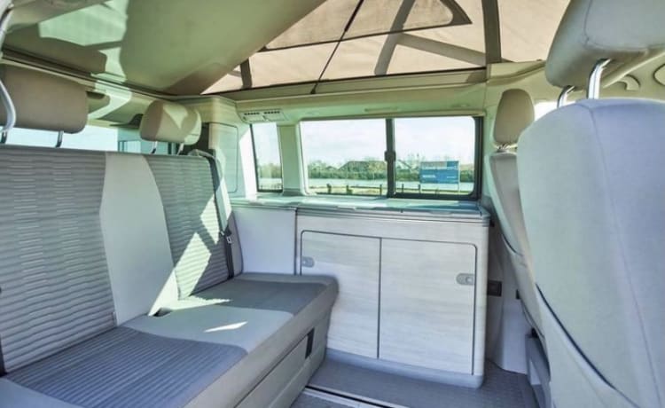 Witte Ocean Bulli – VW california Ocean white with hydraulic lifting roof