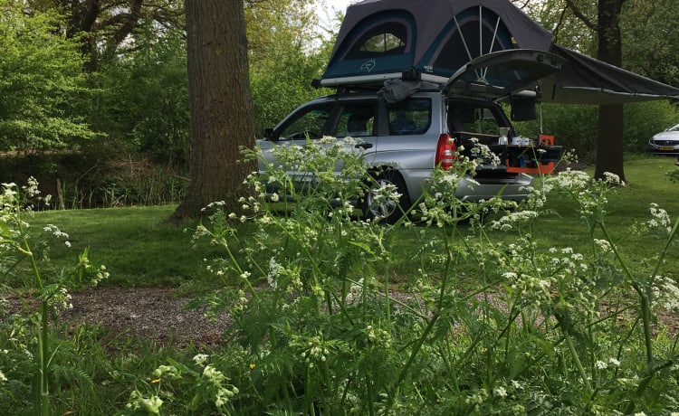 Co de BosCamper – Rooftop Tent Adventure: Subaru Forester x EGOE Nestbox Supertramp x Yuna Sheepie