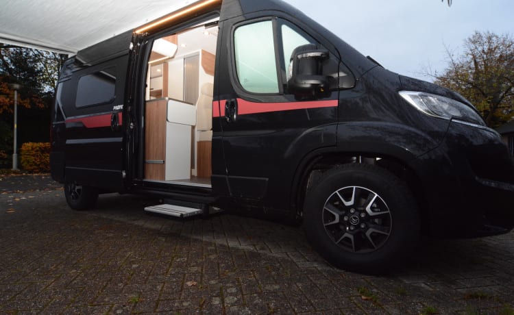 Black Beauty – Luxury Pilote bus camper for 2 persons