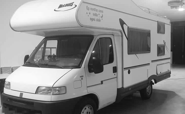 Anto – Camper Mclouis 430 glen