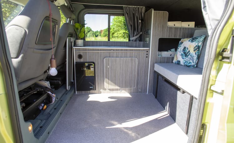 Mushy Pea – 2+2 berth Ford bus from 2006