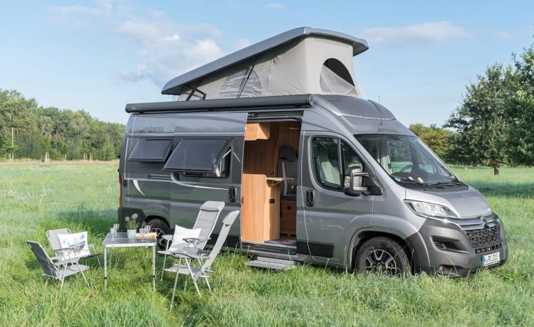 Pumba – Pössl 2 Win Plus 2021 - pop-up roof - 4 sleeping places