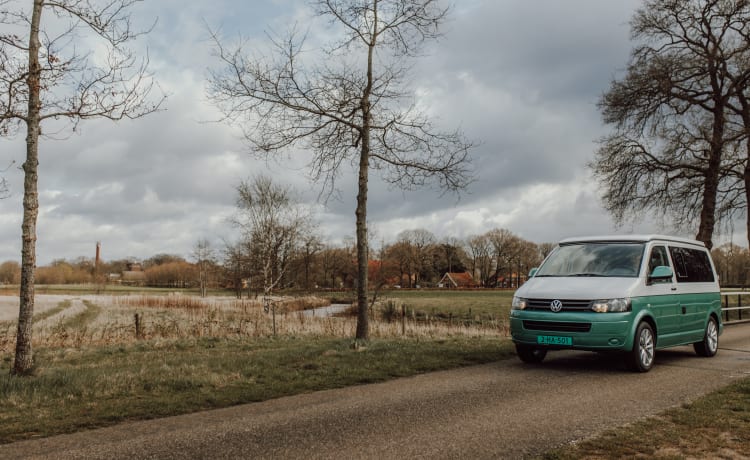 Ocean – Volkswagen Camper, 4 Personen komplett ausgestattet