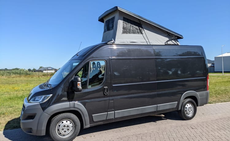 NOYR on Wheels – Beautiful black bus camper (4 people)