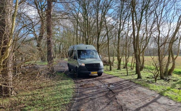 Autobus Mercedes-Benz 4p à partir de 2019