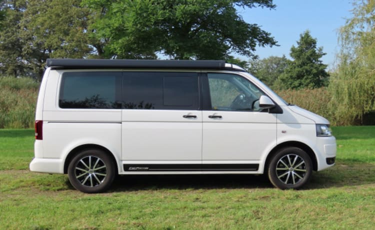 Buzz – VW California Comfort Line (T5)