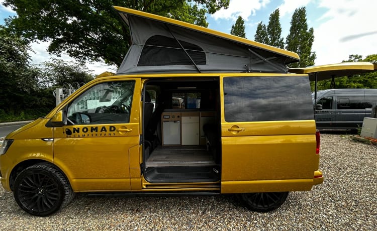 Goldie LONDON – RK69RPY - Aventure avec Goldie, la Volkswagen Nomade à 4 Couchettes