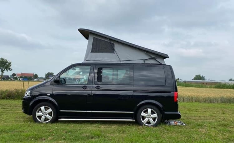 VW T5 Multivan 4motion (4x4)