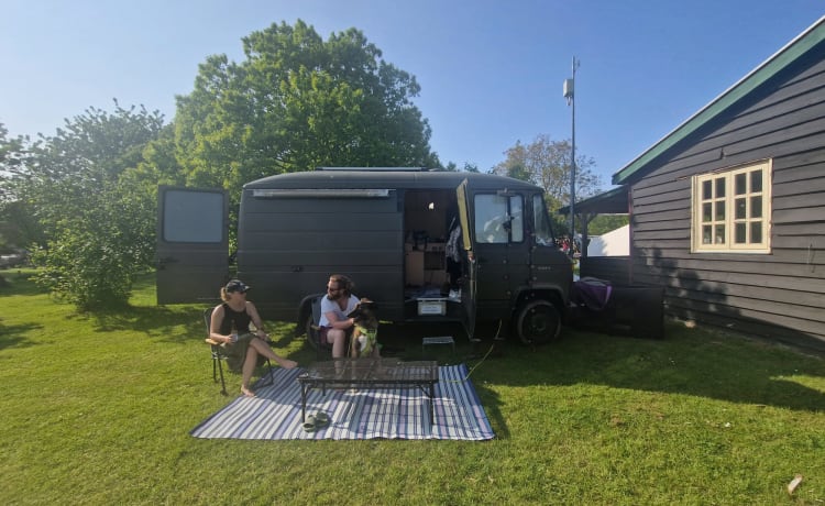 Groene Gast – Green Guest nimmt Sie mit auf ein einzigartiges Abenteuer in einem Retro-Camper!