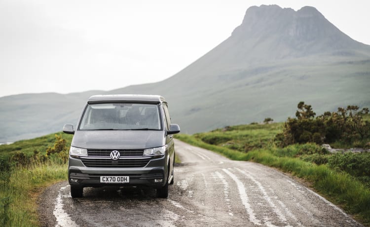 Harley – Wanneer hondvriendelijk hondvriendelijk betekent - Luxe VW T6.1 campervan