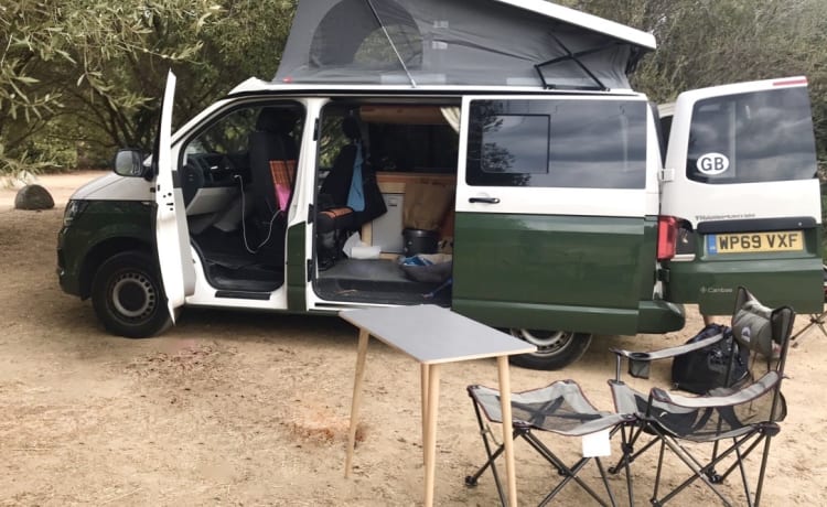 Monty – Il camper perfetto per ogni fuga (VW a 4 posti letto, 2019) 