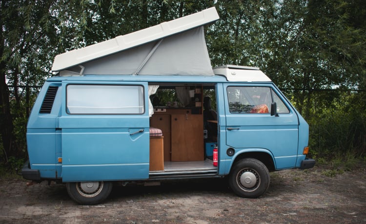 Aliforni – Volkswagen T3 fiable