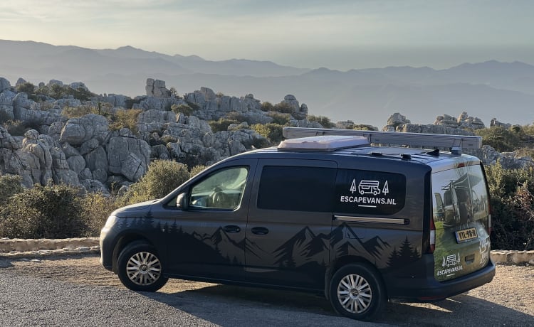 Abbey – Camping-car bus économique à partir de 2024