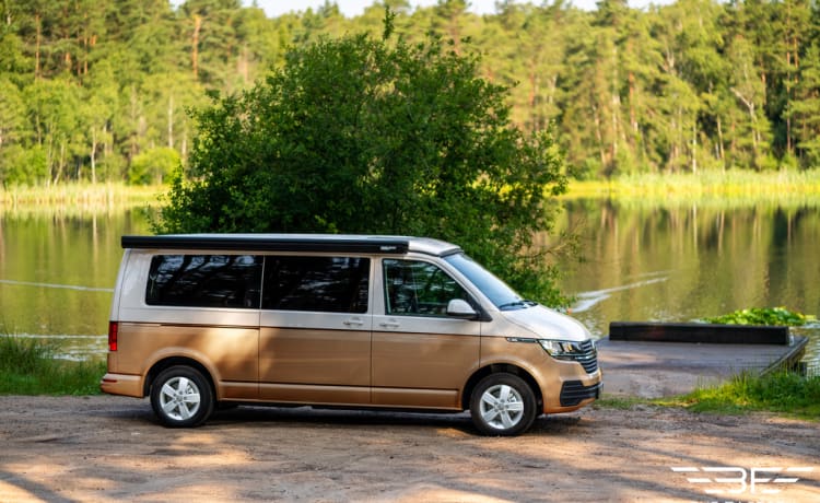 Volkswagen campervan tot 4 personen - Nieuw!