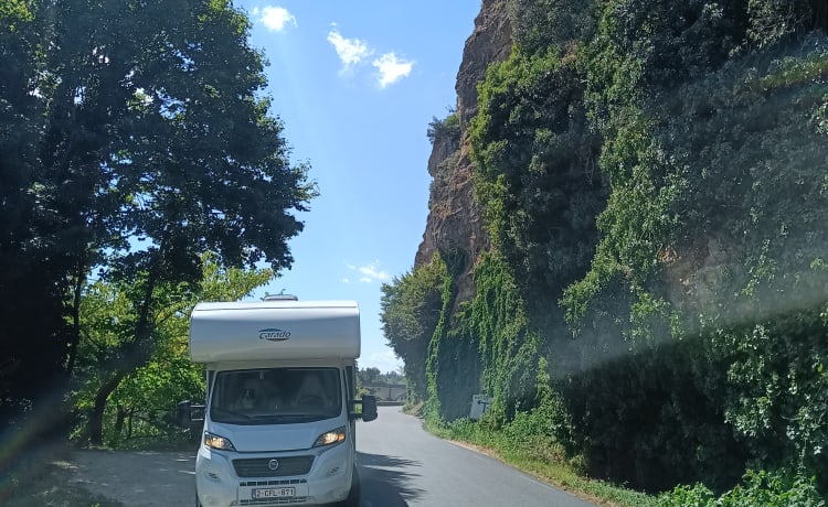 Rupelcamper – Alcôve Carado 6p de 2019