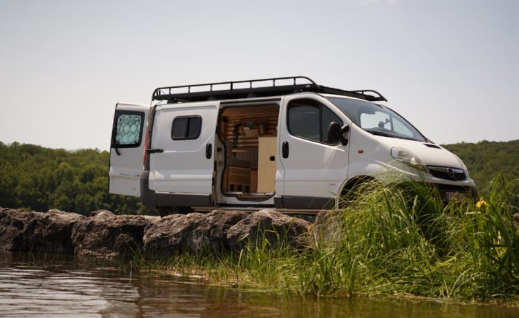 Opel Vivaro L2H1 COSY + ROOFTOP TERRASSE 