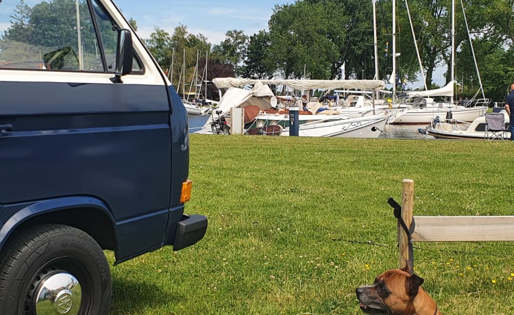 Rusty – Volkswagen T3 Westfalia (automatique), Rétro