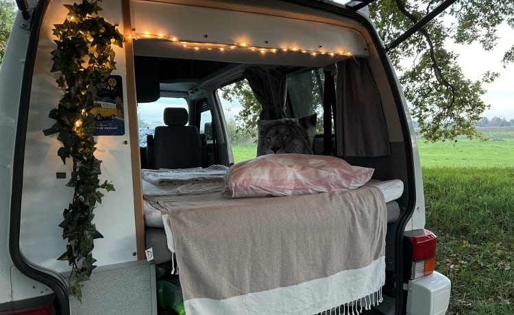 Colin de Camper – Volkswagen T4 California buscamper, top staat, off-grid met extra's