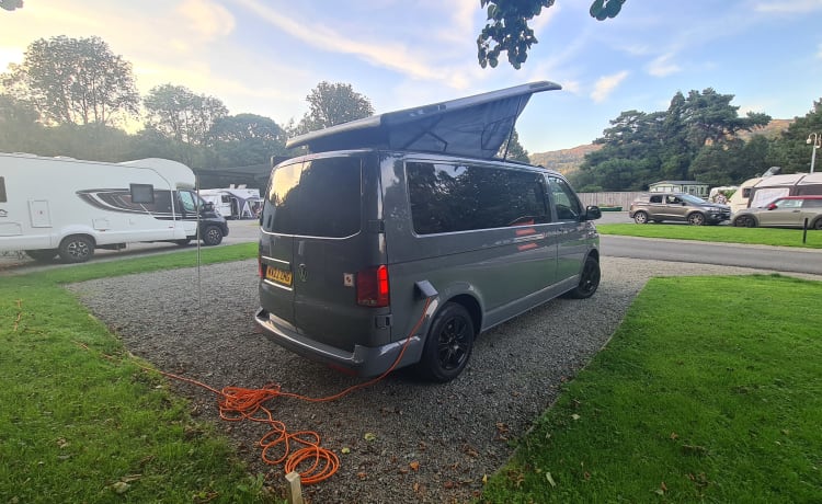 reggie – VW transporter t6.1