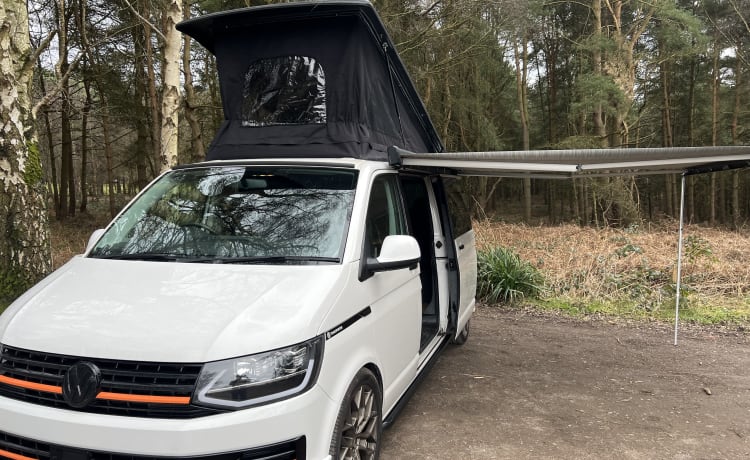 4-persoons Volkswagen camper uit 2016