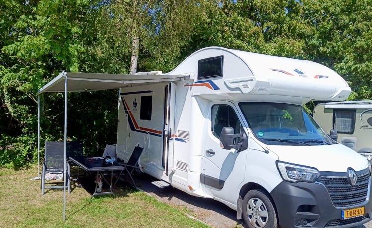 Familiecamper – Alcôve Renault neuve pour 4 à 6 personnes