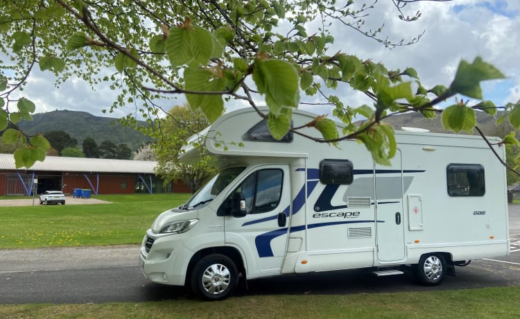 6 berth Swift Escape