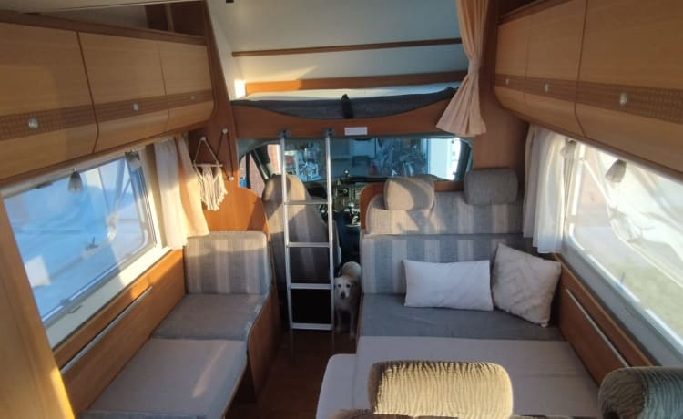 Very spacious family motorhome, 6 seats with belts