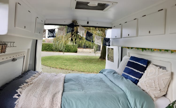 Bella de koe – 2p fiat ducato (ideal for surfers and/or animal owners) 