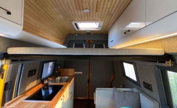 PANDA – VW T5 converted