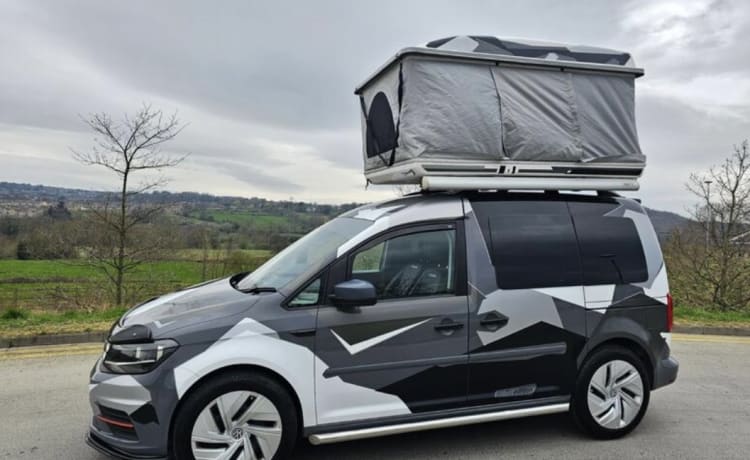Hiker vehicle  – 4-Bett-Volkswagen-Campervan von 2016