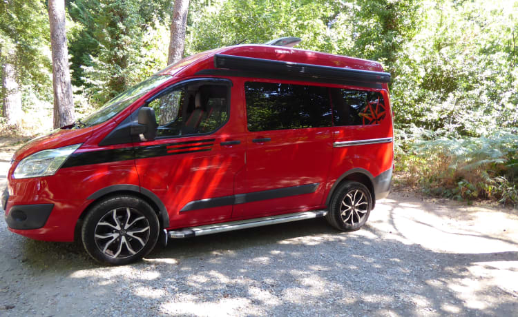 Tom – Ford Transit haut de gamme personnalisé. l'île de Wight