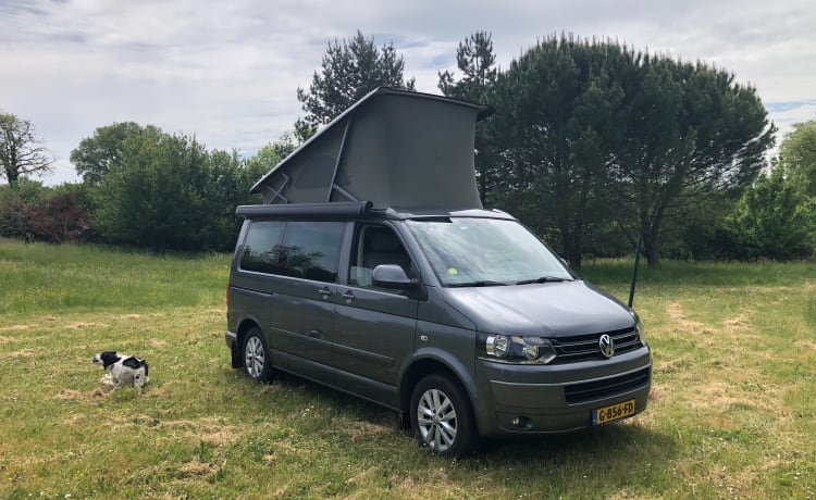 Calibus – 4p Volkswagen California Buscamper uit 2012