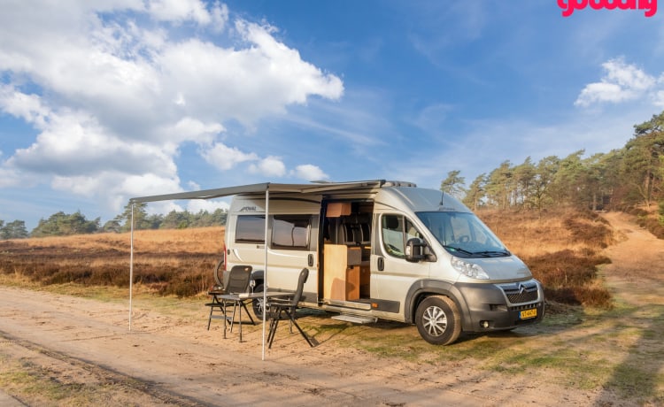 Vibes voelen met de Pössl family 3 pers. 