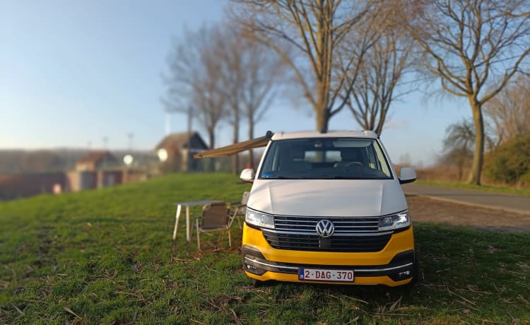 STORMY 1 – Volkswagen California Ocean NEW