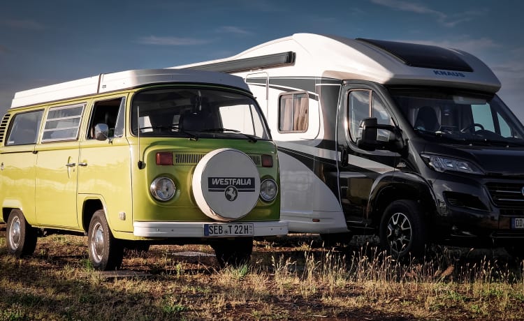 Honu Lohi – RAD-Rent a Dream - VW T2 Westfalia "Berlin" - Rent your retro dream