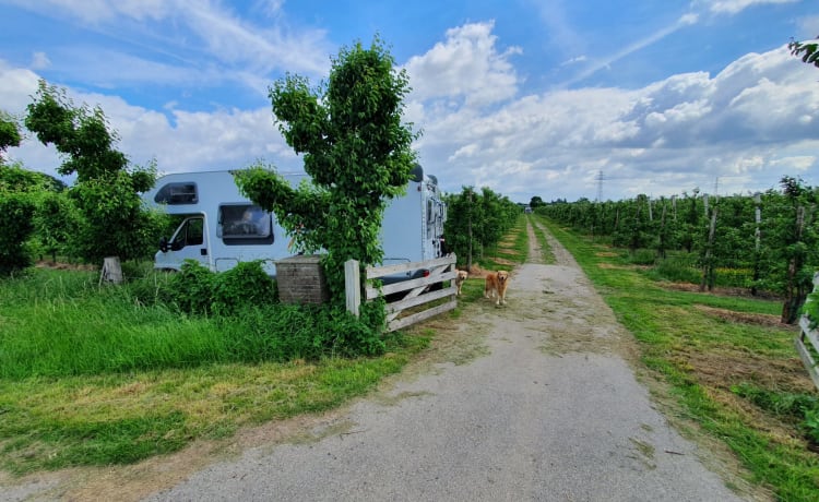 Truus ons vakantiehuus – Geräumiger Familiencamper Fiat Ducato