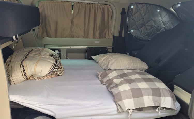 Moderner kompakter Westfalia Ford Nugget