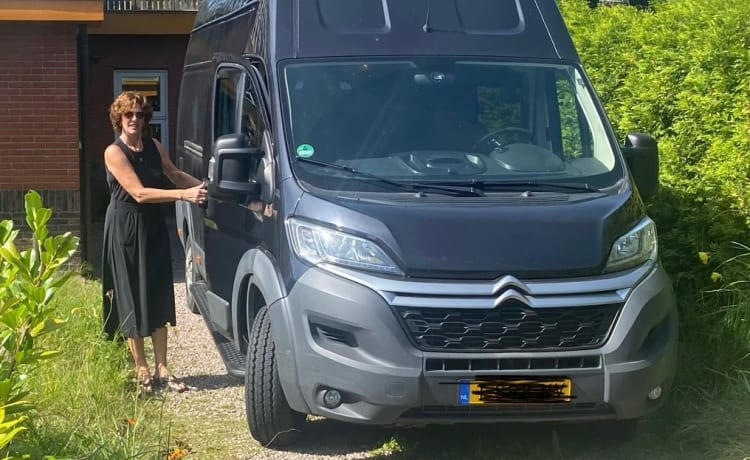 Autobus Citroën 2p del 2017