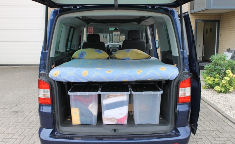 powerful VW T5 Multivan camper van with spacious Reimo pop-up roof