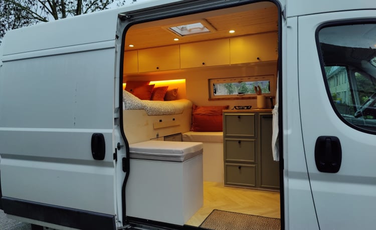 Schöner komfortabler Bus Camper