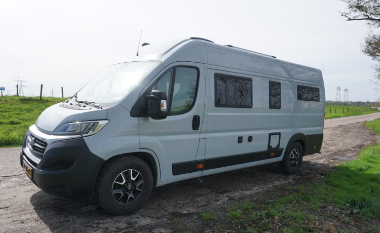 Camper Fiat 2p del 2021