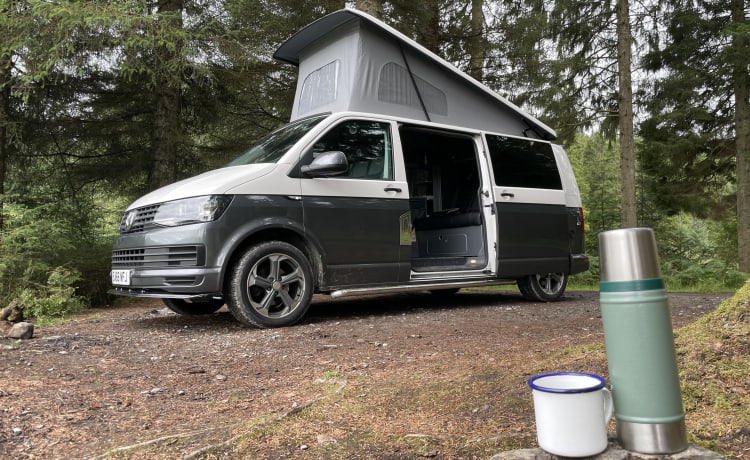 Stylischer VW T6 Campervan