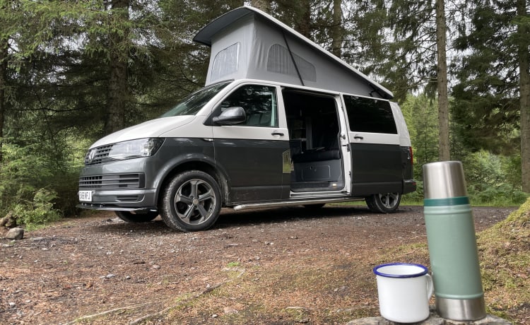 Elegante camper VW T6