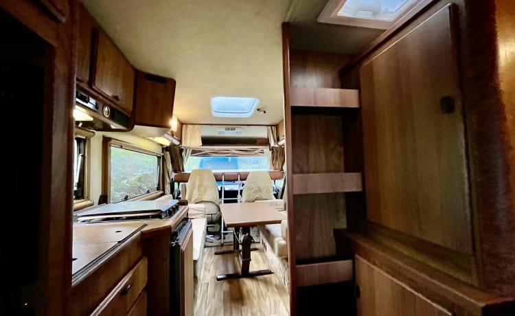 Bruine Beer – Hymer, Brown Bear from 1985 in top condition