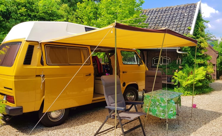 CHICO – cozy, neat, canary yellow oldtimer VW T3 for rent!