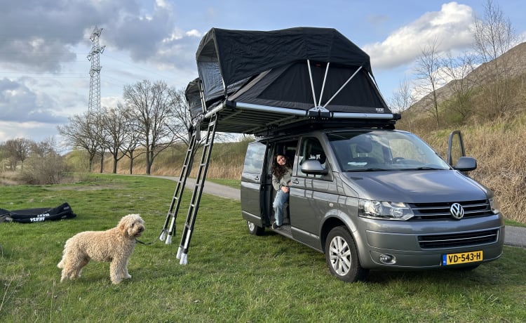 Rooftop party Van  – 4p Volkswagen dak uit 2014